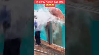 Manatee Splashes Water On Kid And Regrets virtuosemuet whale funny water [upl. by Eelarol]