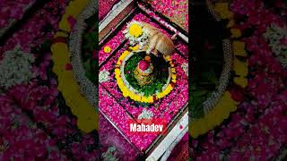 Mahadev short video shortvideo Ji [upl. by Fosdick140]