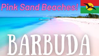 Barbuda Top Attractions amp Best Things To Do 2024 Travel Guide [upl. by Joappa729]