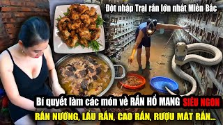 Nuôi rắn hổ mang kiếm tiền tỉ Cách chế biến các món ăn từ rắn hổ mang siêu ngon  Viet Nam Food [upl. by Dihahs]