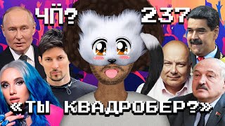 Чё Происходит 237  Миа Бойка vs квадроберы японский шпион в Беларуси Путин встречался с Дуровым [upl. by Cornela362]