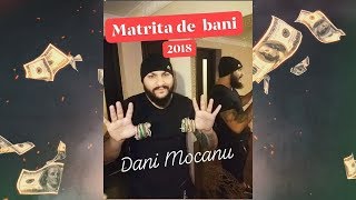 Dani Mocanu  Matrita de bani  Official Audio [upl. by Enileoj]