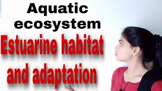 Estuarine habitat  adaptation of Estuaries animal Aquatic ecosystem [upl. by Ainot]