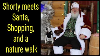 Shorty meets Santa Shopping and a nature walk [upl. by Avlasor]