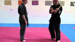 Advanced Kenpo Demonstration [upl. by Fredia692]