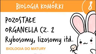 Cytologia 8  Pozostałe organella cz2 Rybosomy peroksysomy lizosomy glioksysomy wakuole [upl. by Erdnua]