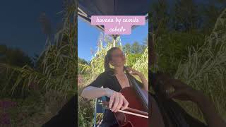 havana cello cover full video on my profile 💕 [upl. by Sinai]