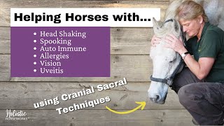 Helping Horses with Head Shaking Spooking Auto Immune amp Allergies Cranial Sacral  April Love [upl. by Beltran]