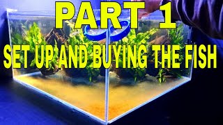 How To Breed Otocinclus Catfish Part 1 Set Up [upl. by Litnahc]