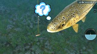 Ultimate Fishing Simulator PC Lets Start Fishing [upl. by Hgieliak]