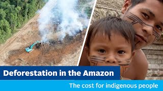 Deforestation in the Amazon the cost for indigenous people [upl. by Akira]