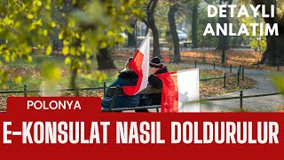 POLONYA İŞÇİ VİZESİ  D TİPİ VİZE  EKONSULAT NASIL DOLDURULUR PART 1 DETAYLI ANLATIM [upl. by Aivatnwahs]