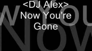 Now youre Gone  Dj alex [upl. by Malliw]