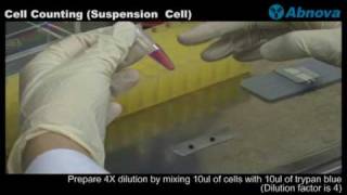 Cell Counting Suspension Cell [upl. by Culbertson740]