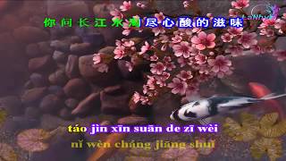 Luyến Nhân Tâm  KARAOKE  恋人心  Beat [upl. by Dexter]