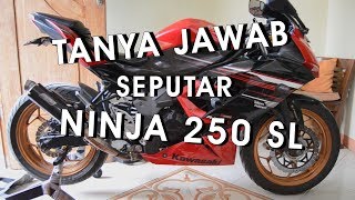 TANYA JAWAB SEPUTAR NINJA 250 SL ATAU NINJA RR MONO [upl. by Yrallam679]