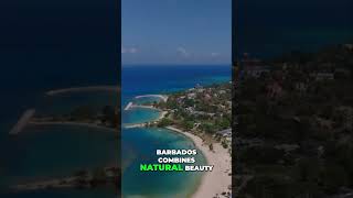 Explore Barbados Beaches Culture and Bajan Hospitality [upl. by Anihs]