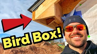 How To Build A Bird Box For Soffit On A House [upl. by Doti77]