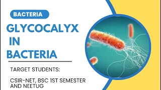 Glycocalyx  Bacterial structure  Bacteria  L4 [upl. by Elatan]