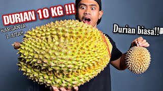 BUSET MUKBANG DURIAN RAKSASA SEBERAT 10 KG [upl. by Thoer]