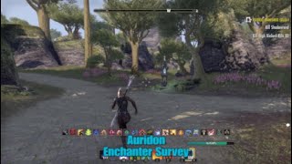 ESO Auridon Enchanter Survey Location The Elder Scrolls Online [upl. by Eimaj]