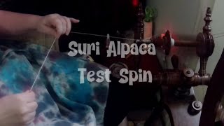 Suri Alpaca Test Spin [upl. by Nwotna237]