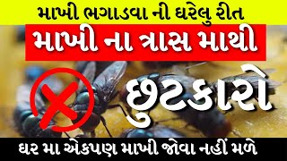 માખીના ત્રાસમાંથી છુટકારો  ૨ જ મીનીટમા માખી ઘરમાંથી બહાર નીકળી જશે  House Fly Removal Tips [upl. by Rind649]