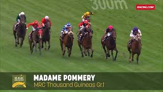 Lot 487  Madame Pommery  Magic Millions National Broodmare Sale [upl. by Armil]