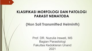 Non Soil Transmitted Helminth [upl. by Martell127]