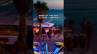 Meliza by Dj flex [upl. by Rann295]