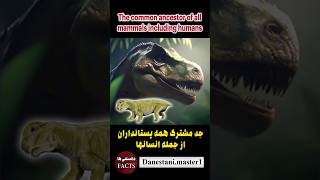 سیناپسیدها،synapsids دانستنیها newfact حیوانات animal دایناسور dinosaur animals [upl. by Naziaf]