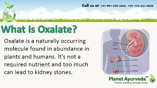 Avoid high oxalate foods to prevent recurrent kidney stones [upl. by Vladamar]