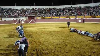 Men Participate in Crawling Race Across Bullfighting Arena  988572 [upl. by Knick]