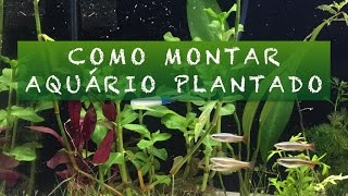 Como Montar Aquário Plantado 1 [upl. by Arleta44]