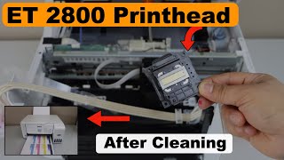 Epson ET 2800 Printhead Cleaning Fix Clogged Bk or Y M C Ink Manually [upl. by Cirdet214]