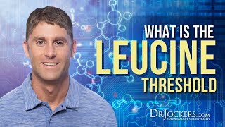 What Is The Leucine Threshold [upl. by Jessalyn]