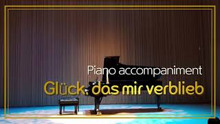 Glück das mir verblieb Mariettas Lied EWKorngold from Die Tote Stadt  Piano accompaniment [upl. by Garibold]