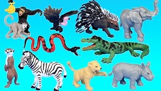 Jungle Adventure Wild Animals Playset For Kids  Animal Toys Video [upl. by Rianna]