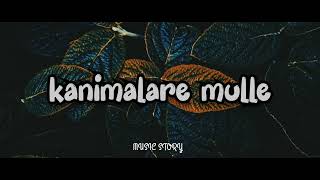 kanimalare mulle  slowed amp reverb amp lofi [upl. by Elfreda]