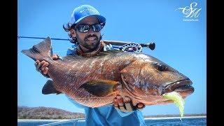 Big cubera On The Fly Fly finishing Puerto Vallarta Mex [upl. by Jesh849]