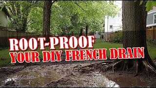 How to Keep Roots From Growing in Your French Drain System [upl. by Rammus440]