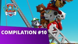 Pups save the Jungle with Tracker and Carlos  PAW Patrol  Cartoons for Kids Compilation [upl. by Ettezyl]