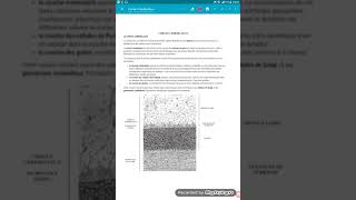 histologie système nerveux  cortex Cérébelleux trop simplifié [upl. by Ecnedurp]