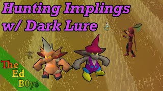 Using Dark Lure to Hunt Implings  OSRS Impling Hunting Guide [upl. by Arenat319]