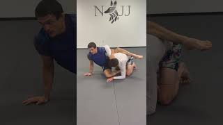 Floating Triangle From Half Guard bjj jiujitsu nogi bjjlife jiujitsulifestyle combatsport [upl. by Atnim]