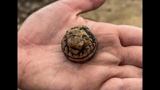 EVIDENCE OF THE 9TH COHORT OF BATAVIANS AMONG NEW FINDS AT ROMAN VINDOLANDA [upl. by Kitti]