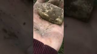 old lead steelyard weight found metal detecting Scotland [upl. by Clie]