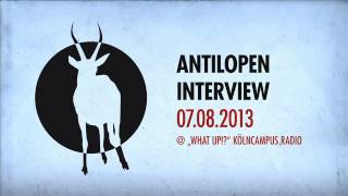 Antilopen Gang  quotWhat UpquotRadioshow Part 1  Interview [upl. by Ennaihs]