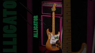 FCS Austin MacNutt Masterbuilt LE Jerry Garcia Alligator Strat guitars fender shorts [upl. by Eugenie380]