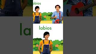 Conoce palabras por la letra L de León 🦁 123andres musicainfantil shortsvideo kidsvideo shorts [upl. by Chancey]